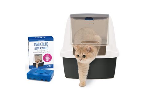 Catit litter box with magic blue filter: the ultimate solution for litter box odors